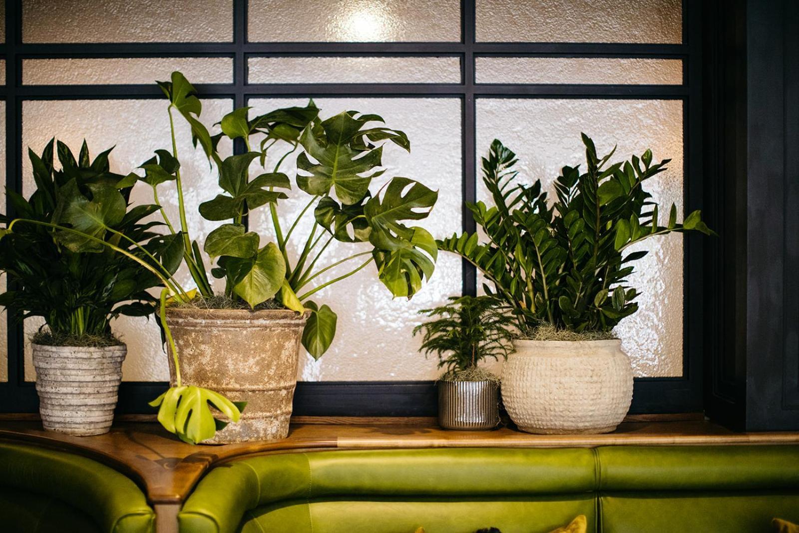 Hotel Emeline Charleston Kültér fotó